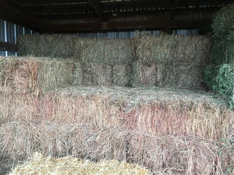 Item Must be paid for with 24 Hours of the conclusion of the sale, items must be removed within 2 weeks after the sale unless prior arrange. . Hay for sale in nebraska